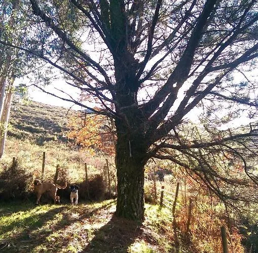 Secret Do Geres Lodge *